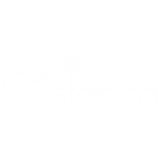 Logo deCastarica